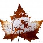 leaf_carving