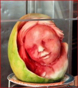watermelon_carvings_25